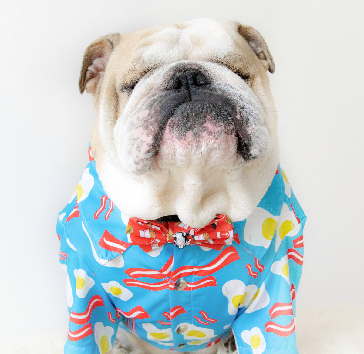 English bulldog discount pajamas for adults