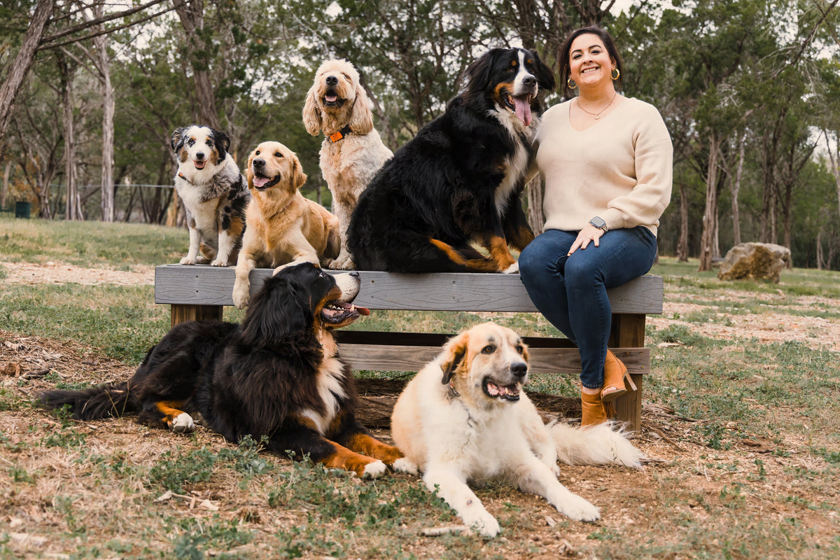 Lea sitting on a park bench with her six dogs