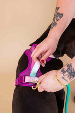 Joana Dog Harness | No Pull Dog Harness | Purple Dog Harness