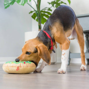 Lit Donut For Dogs