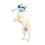 Lankies Pippin Penguin