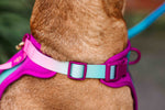 Joana Dog Harness | No Pull Dog Harness | Purple Dog Harness