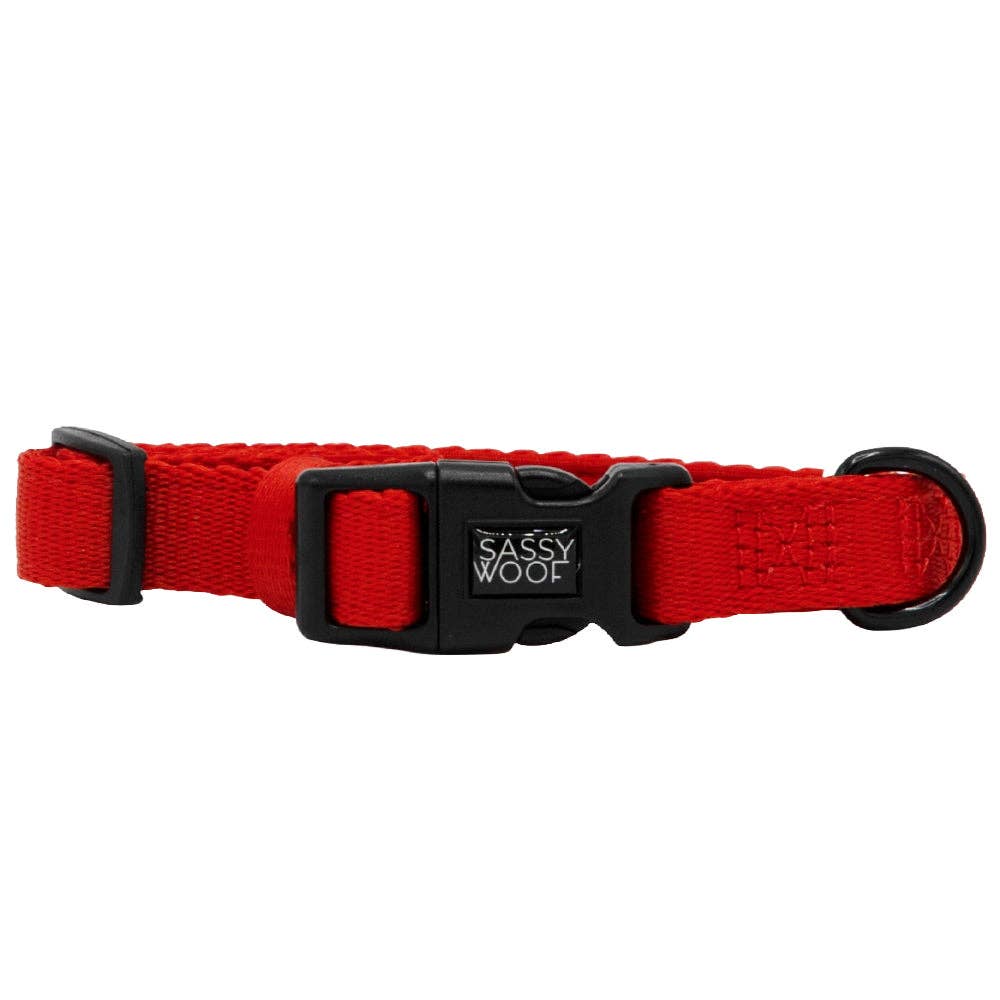 Neon Red Dog Collar