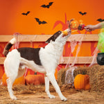 BARK Jack-Crow-Lantern Plush Dog Toy