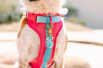 Stasia Dog Harness | No Pull Dog Harness | Pink Dog Harness