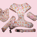 The Breakfast Club Adjustable Harness: No Matching Leash / Small