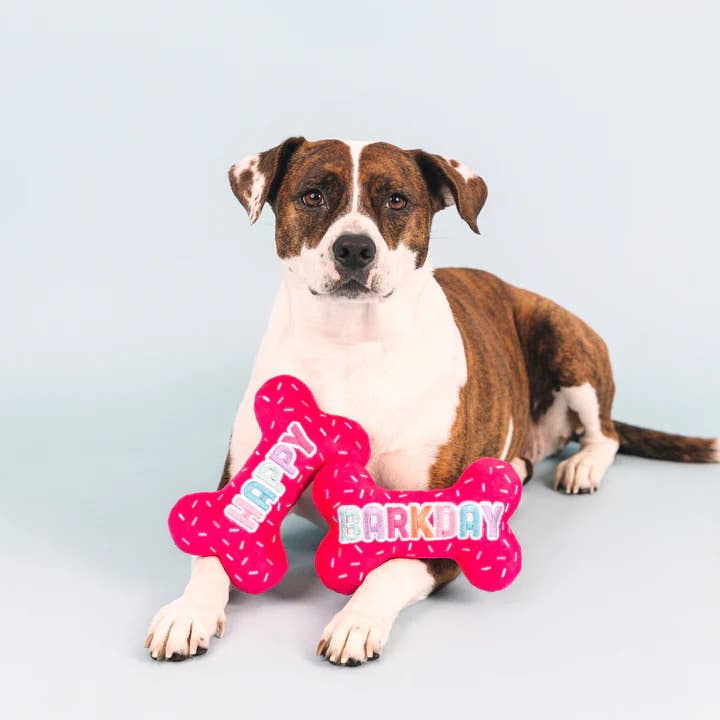 PetShop by Fringe Studio It's My Barkday Plush Dog Toy