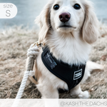 Adjustable Harness - ONYX