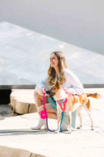 Stasia Dog Harness | No Pull Dog Harness | Pink Dog Harness