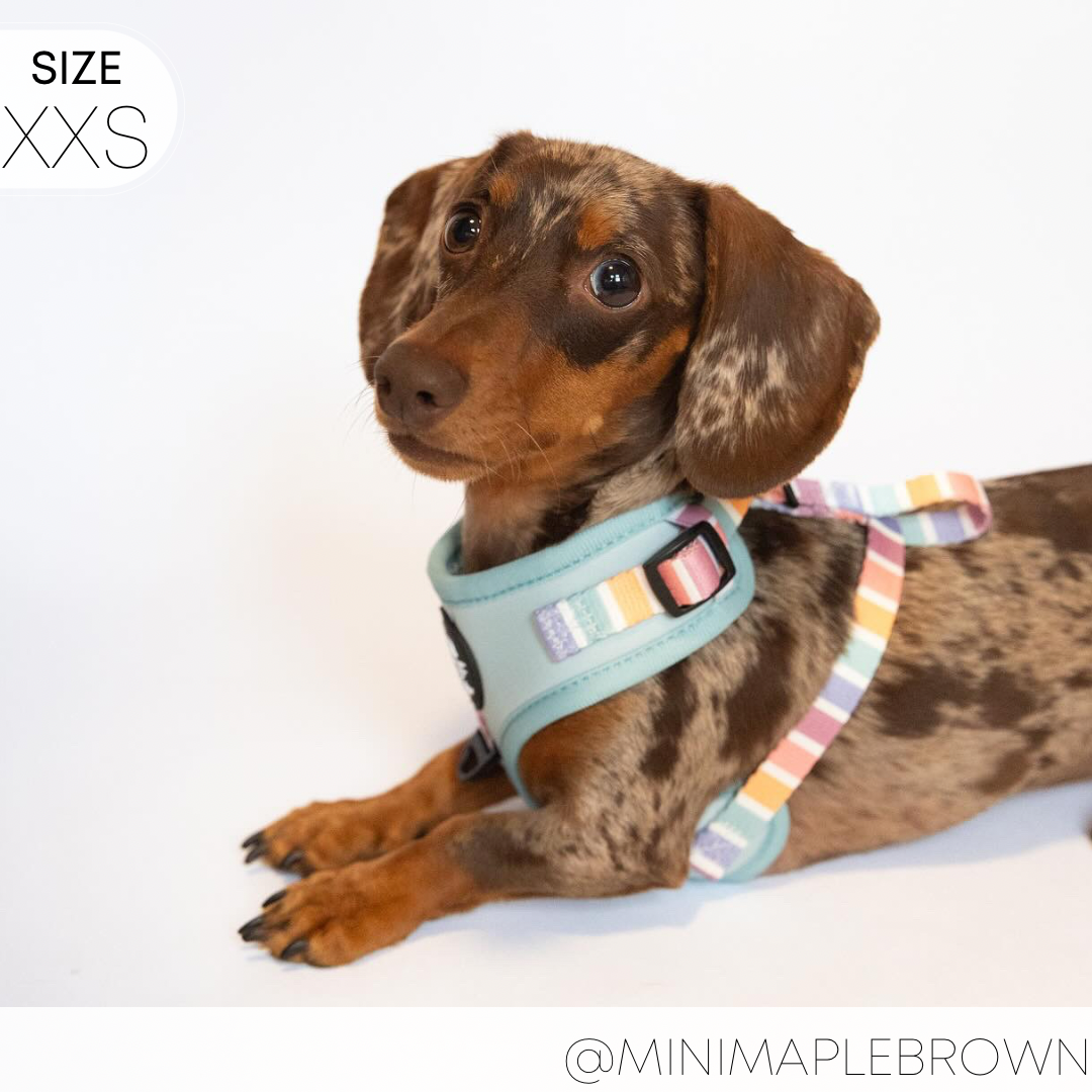 Adjustable Harness - SHERBET SUNSET