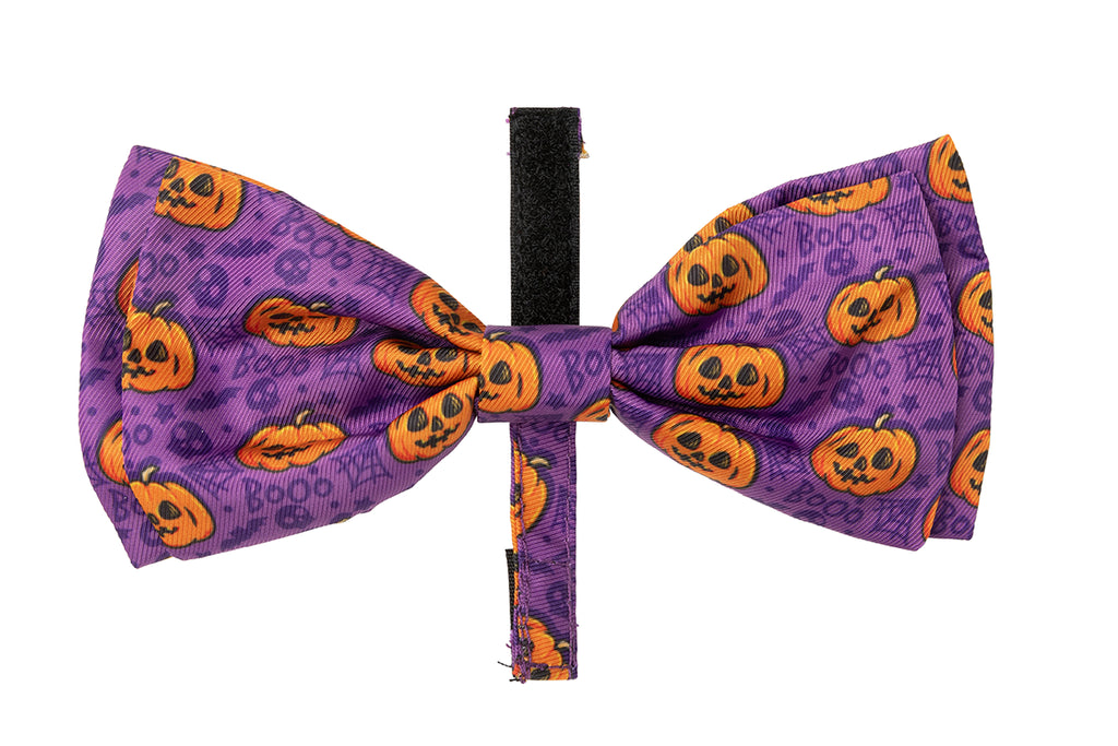FuzzYard Bowtie Jack Jack Jackie Lantern Purple