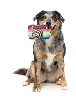 FuzzYard Spread Love Camera Plush Dog Toy