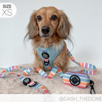 Adjustable Harness - SHERBET SUNSET