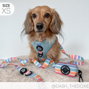 Adjustable Harness - SHERBET SUNSET