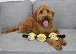 Multipet Minion 3-Head Dog Rope Toy 17"