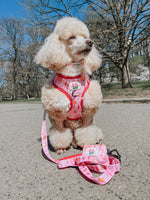 Dog Waste Bag Holder - Western Barbie™