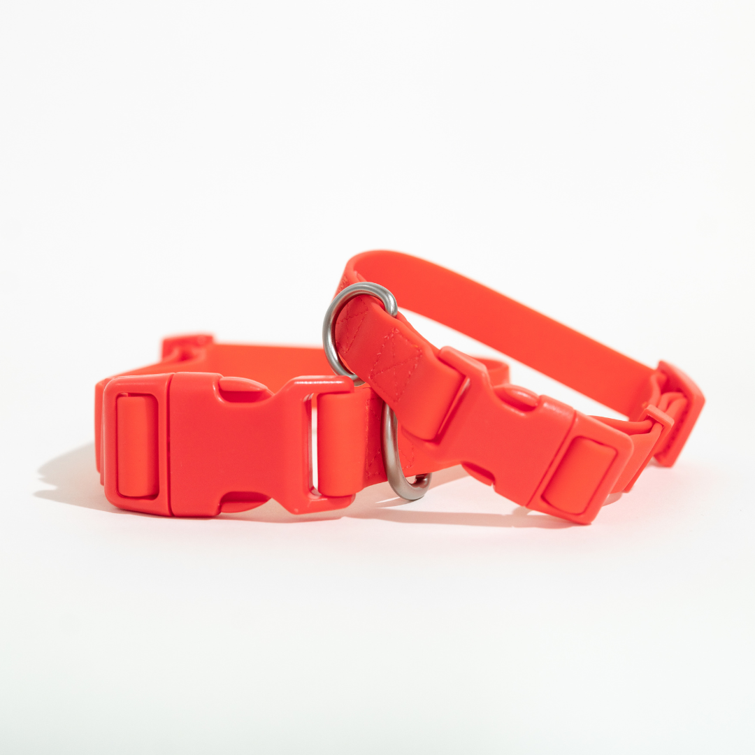 All-Weather Dog Collar