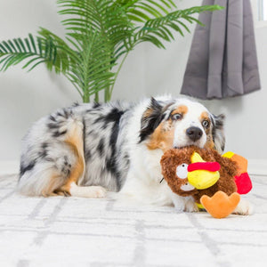 Wishbone Turkey For Dogs