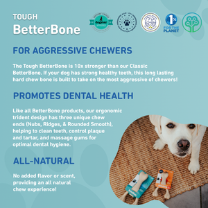 BetterBone TOUGH — DURABLE All-Natural Sustainable Chew Toy