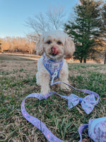 Dog Sailor Bow - Kuromi™