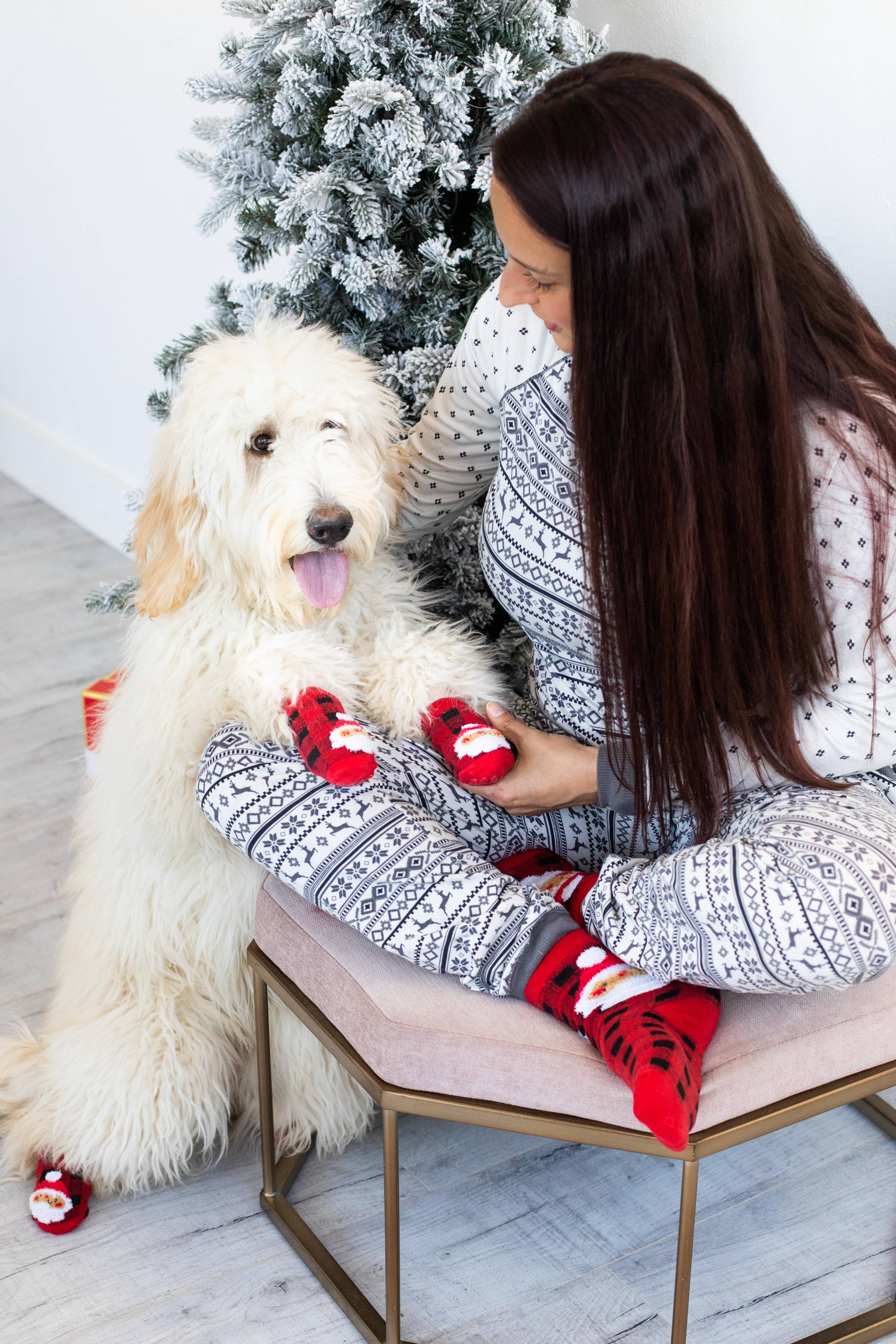 Human and Dog Sock Set Buffalo Check Santa
