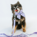 Dog Sailor Bow - Kuromi™
