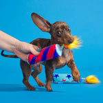 BARK Pup-Pup Fireworks Fourth of July Plush Dog Toy Small