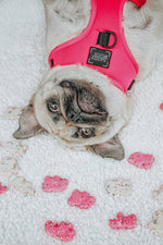 Dog Adjustable Harness - Neon Pink