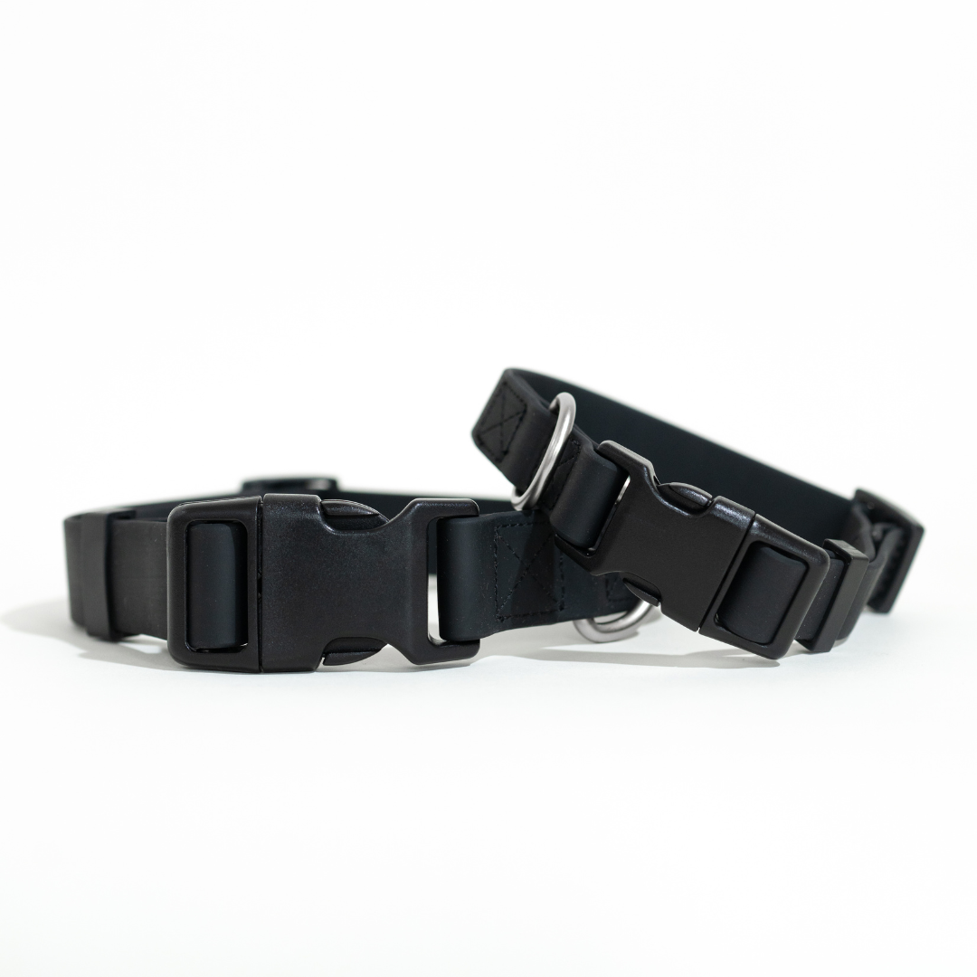 All-Weather Dog Collar