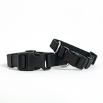 All-Weather Dog Collar