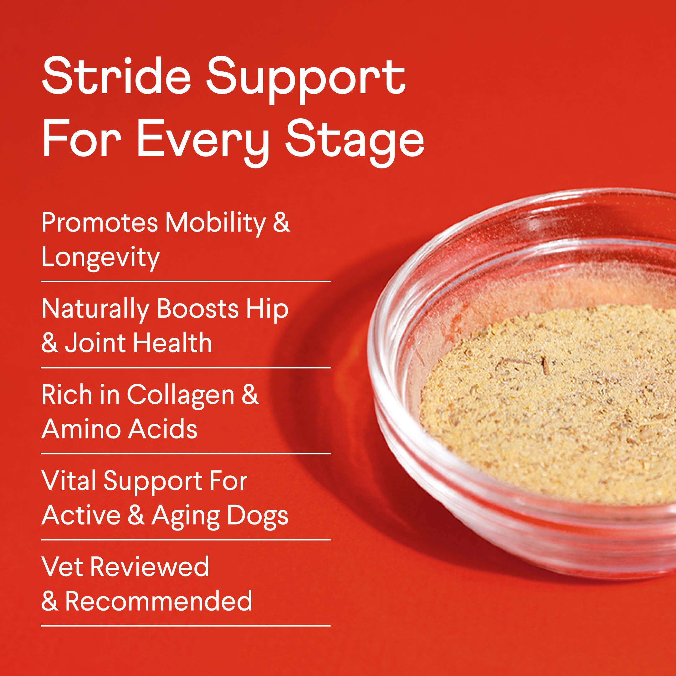 Bone Broth Plus - Powdered Meal Topper