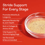 Bone Broth Plus - Powdered Meal Topper