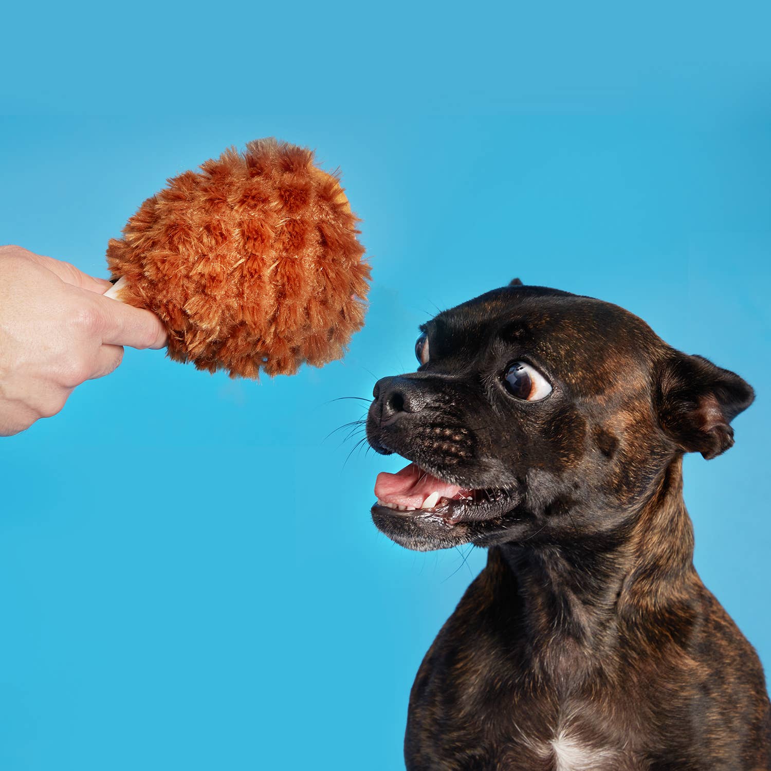 BARK Tavern Turkey Leg Plush Food Dog Toy ALL