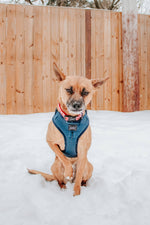 Dog Adjustable Harness - Twilight