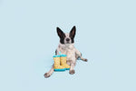 BARK Smelly Wellies