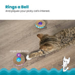 Catstages Spin & Scratch Cat Toys 2pc