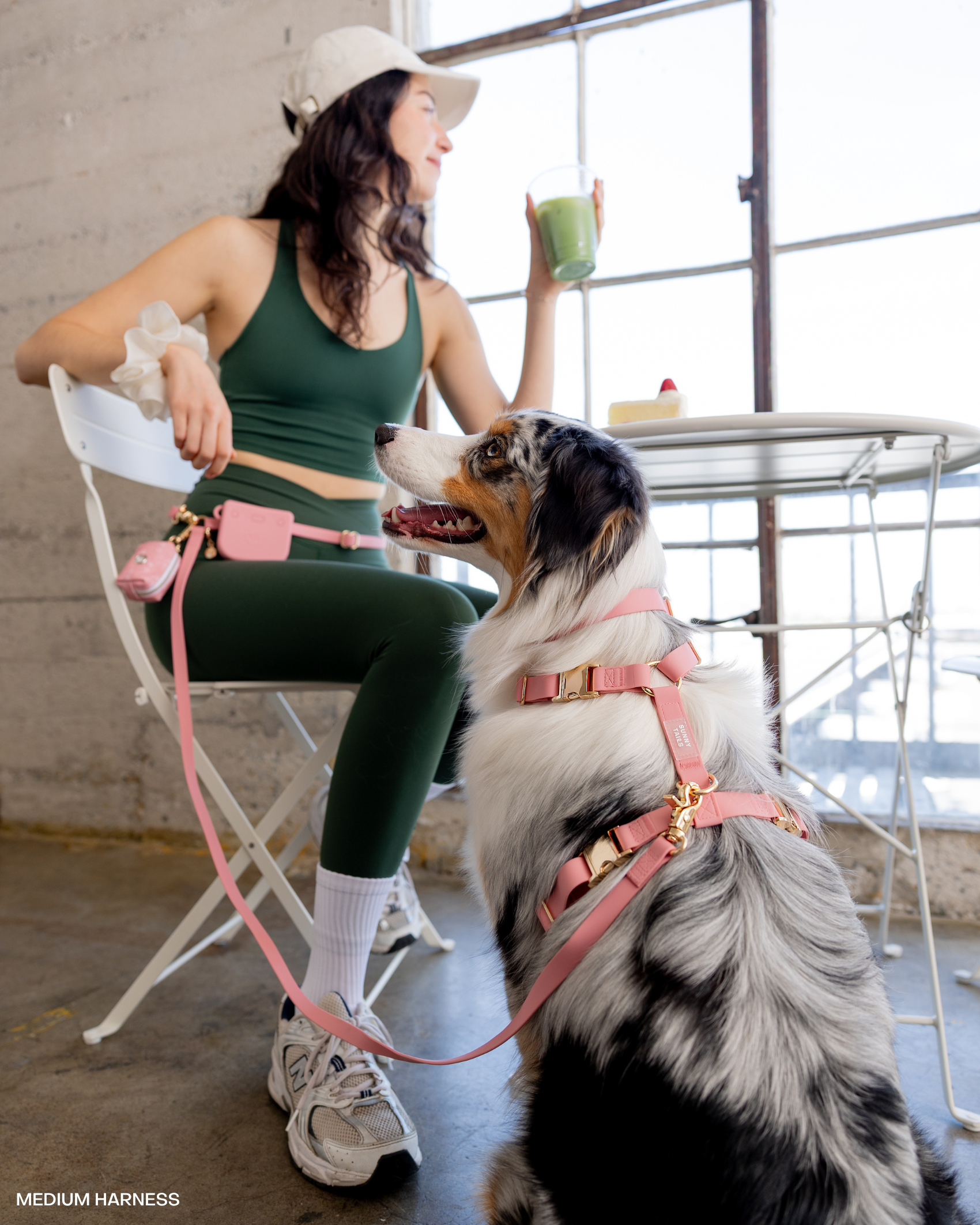 Perfect Pink 4-in-1 Convertible Hands Free Cloud Dog Leash