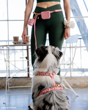 Perfect Pink 4-in-1 Convertible Hands Free Cloud Dog Leash