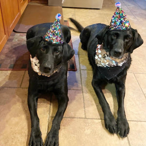 Bejeweled sequined pawty hat