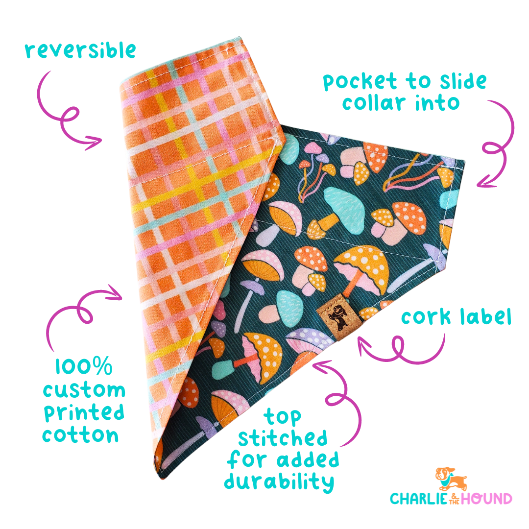 Howdy - Reversible Dog Collar Bandana