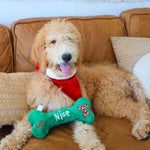 Naughty Nice Bone Dog Toy