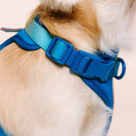 Atlas Dog Harness | Blue No Pull Multi Walk Style Harness