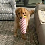ThoozyPet Birthday Candle Pink Plush Dog Toy with Rope 16"