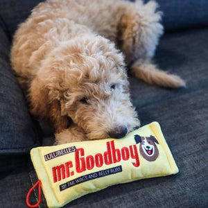 Mr. Goodboy (Stuffless) Dog Toy