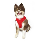 Hip Doggie-Old Header Cards- Ultra Comfort Harness-Red