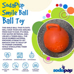 Smile Ball Ultra Durable Synthetic Rubber Chew Toy & Floating Retrieving Toy