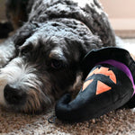 Witch Hat Dog Toy