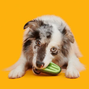 BARK Avocadoggo Super Chewer Dog Toy