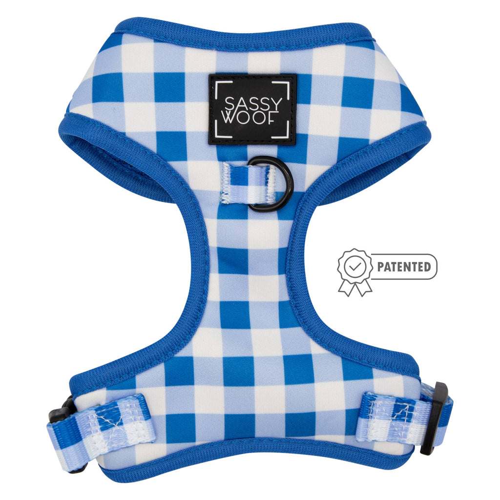Dog Adjustable Harness - Wizard of Paws: M