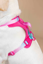 Stasia Dog Harness | No Pull Dog Harness | Pink Dog Harness
